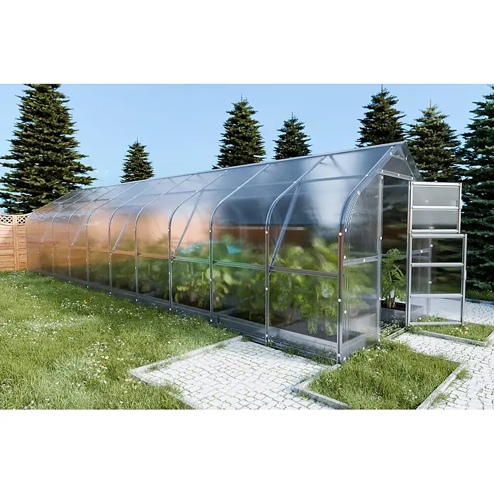 Klasika Greenhouses Gewächshaus Drop Klasika - Außenmaß inkl. Dachüberstand (B x T): 250 x 1.200 cm, Material Seitenwand: Kunststoff, 6 mm, Silbergrau - Transparentes Polycarbonat-Gewächshaus mit Silberrahmen, gefüllt mit Pflanzen und offener Tür.