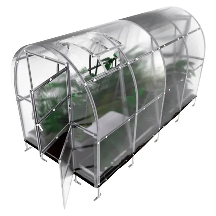 Klasika Greenhouses Gewächshaus Slim Klasika - Außenmaß inkl. Dachüberstand (B x T): 200 x 400 cm, Material Seitenwand: Kunststoff, 4 mm, Silbergrau - Ein transparentes, tunnelförmiges Gewächshaus mit Metallrahmen, offener Tür und Dachluke, enthält Pflanzen.
