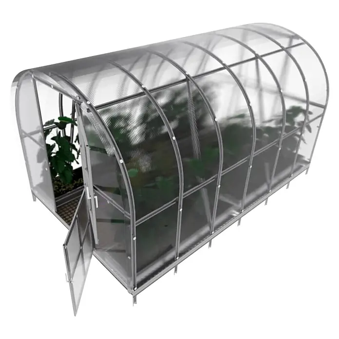 Klasika Greenhouses Gewächshaus Arch Klasika - Außenmaß inkl. Dachüberstand (B x T): 300 x 400 cm, Material Seitenwand: Kunststoff, 4 mm, Silbergrau - Gewölbtes Gewächshaus mit transparenten Paneelen und silbernem Rahmen, Pflanzen enthaltend, mit offener Tür.