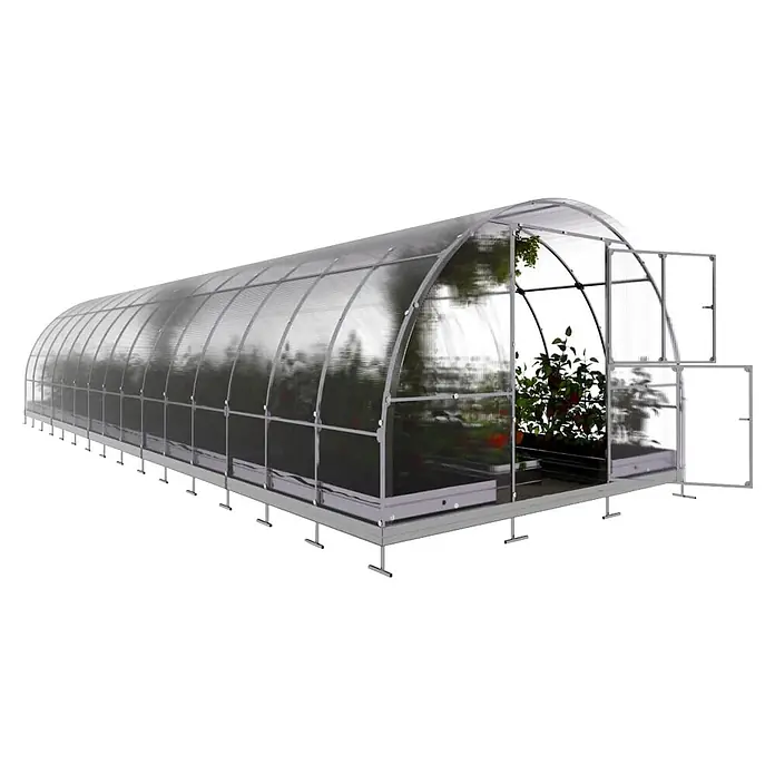 Klasika Greenhouses Gewächshaus Tube Klasika - Außenmaß inkl. Dachüberstand (B x T): 300 x 1.000 cm, Material Seitenwand: Kunststoff, 4 mm, Silbergrau - Gewölbtes Polycarbonat-Gewächshaus mit silbernem Rahmen und offenen Türen, Pflanzen sichtbar.