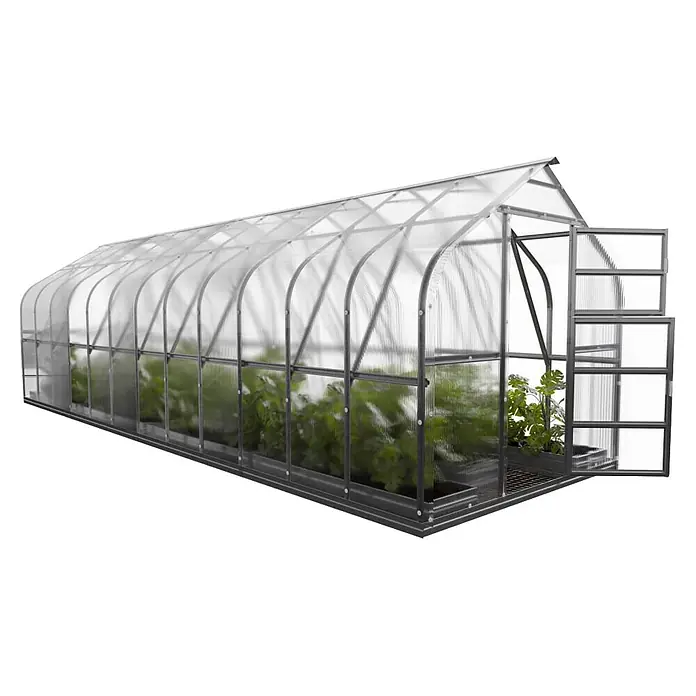 Klasika Greenhouses Gewächshaus Standart Klasika - Außenmaß inkl. Dachüberstand (B x T): 250 x 800 cm, Material Seitenwand: Kunststoff, 4 mm, Silbergrau - Langes, transparentes Gewächshaus mit dunkelgrauem Metallrahmen, offener Seitentür und Pflanzen im Inneren.