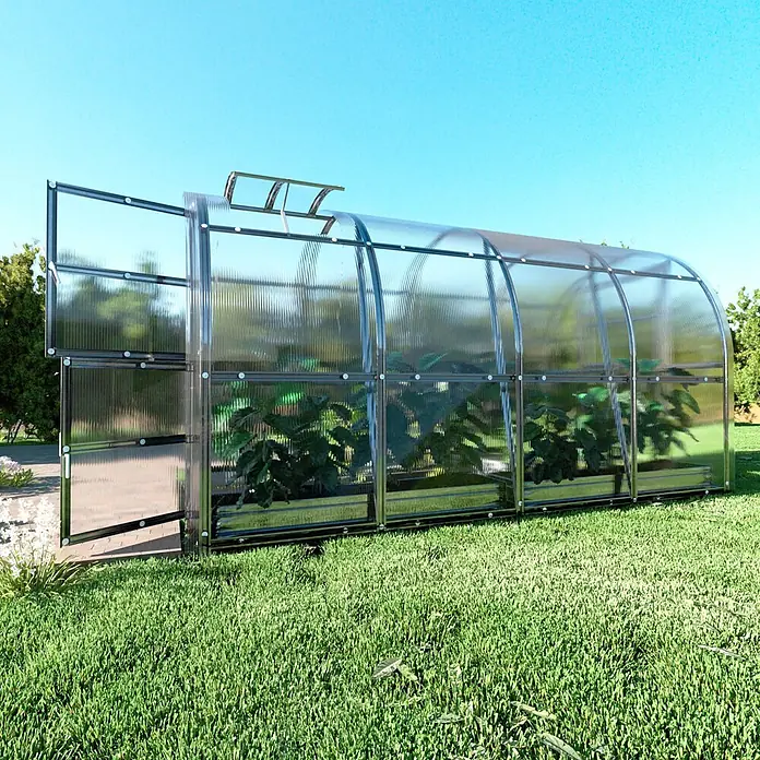 Klasika Greenhouses Gewächshaus Slim Klasika - Außenmaß inkl. Dachüberstand (B x T): 200 x 400 cm, Material Seitenwand: Kunststoff, 4 mm, Silbergrau - Gewölbtes Gewächshaus mit transparenten Wellplatten und Metallrahmen, enthält Pflanzen, mit offener Tür und Dachluke auf Rasen.