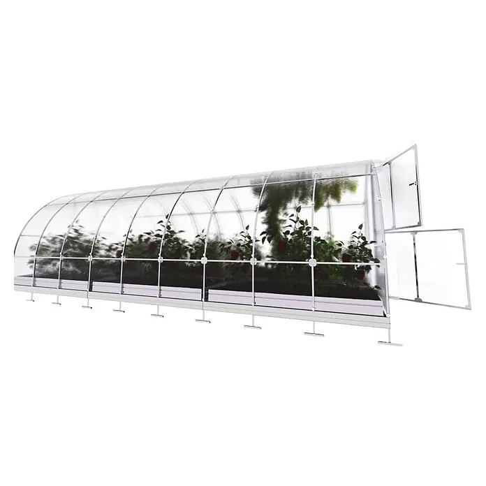 Klasika Greenhouses Gewächshaus Tube Klasika - Außenmaß inkl. Dachüberstand (B x T): 300 x 600 cm, Material Seitenwand: Kunststoff, 6 mm, Silbergrau - Gewölbtes Gewächshaus mit transparenten Paneelen, weißem Rahmen und geöffneten Lüftungsfenstern, enthält Pflanzen.