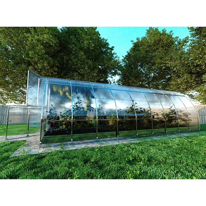 Klasika Greenhouses Gewächshaus Tube Klasika - Außenmaß inkl. Dachüberstand (B x T): 300 x 600 cm, Material Seitenwand: Kunststoff, 6 mm, Silbergrau - Ein klares, gewölbtes Gewächshaus mit silbernem Rahmen, gefüllt mit grünen Pflanzen, steht auf einem gepflasterten Weg in einem sonnigen Garten.