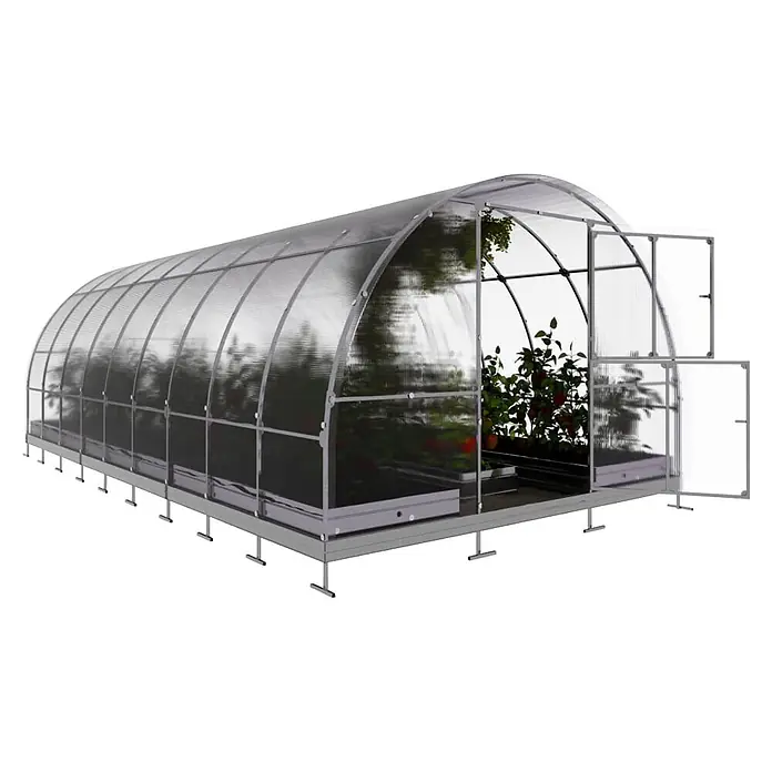 Klasika Greenhouses Gewächshaus Tube Klasika - Außenmaß inkl. Dachüberstand (B x T): 300 x 600 cm, Material Seitenwand: Kunststoff, 6 mm, Silbergrau - Gewölbtes Gewächshaus mit transparenten Paneelen und silbernem Rahmen, Pflanzen sichtbar, mit offener Endtür.