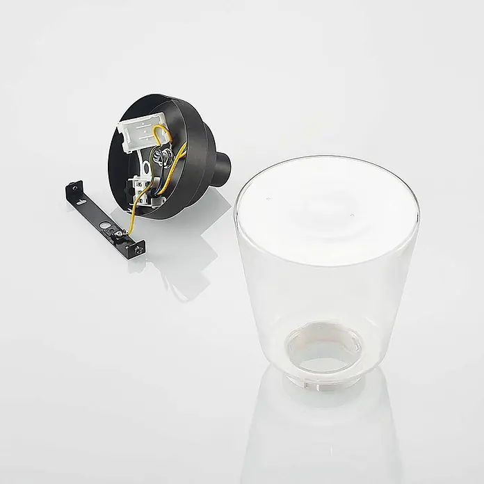 Lindby Deckenleuchte Carmalin - L x B x H: 15 x 15 x 19 cm, schwarz, E14 - Demontierte schwarze Außenleuchte mit Verkabelung, Montagehalterung und klarem Glasschirm.