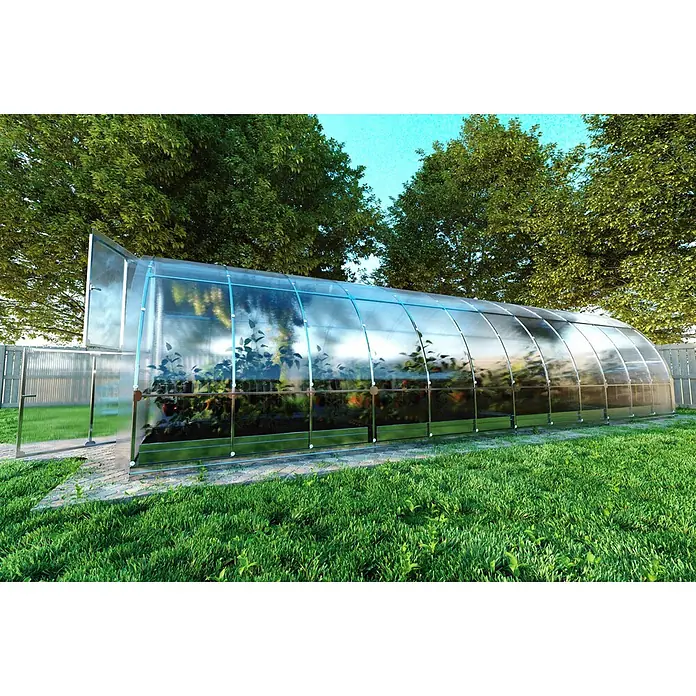 Klasika Greenhouses Gewächshaus Tube Klasika - Außenmaß inkl. Dachüberstand (B x T): 300 x 800 cm, Material Seitenwand: Kunststoff, 4 mm, Silbergrau - Ein gewölbtes Gewächshaus mit lichtdurchlässigen Platten und Metallrahmen im Garten, in dem Pflanzen wachsen.