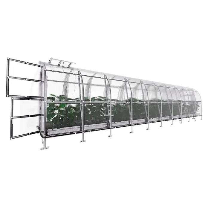 Klasika Greenhouses Gewächshaus Slim Klasika - Außenmaß inkl. Dachüberstand (B x T): 200 x 1.200 cm, Material Seitenwand: Kunststoff, 4 mm, Silbergrau - Langes, transparentes Bogengewächshaus mit silbernem Rahmen und offener Seitentür, das grüne Pflanzen zeigt.