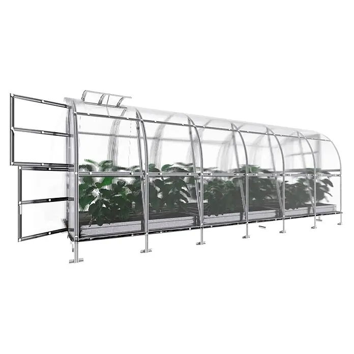 Klasika Greenhouses Gewächshaus Slim Klasika - Außenmaß inkl. Dachüberstand (B x T): 200 x 600 cm, Material Seitenwand: Kunststoff, 4 mm, Silbergrau - Transparentes Tunnelgewächshaus mit silbernem Metallrahmen, Pflanzen innen und offener Vordertür.