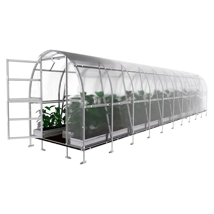 Klasika Greenhouses Gewächshaus Slim Klasika - Außenmaß inkl. Dachüberstand (B x T): 200 x 1.200 cm, Material Seitenwand: Kunststoff, 4 mm, Silbergrau - Langes, transparentes Gewächshaus mit silbernem Rahmen und offener Tür, mit grünen Pflanzen.