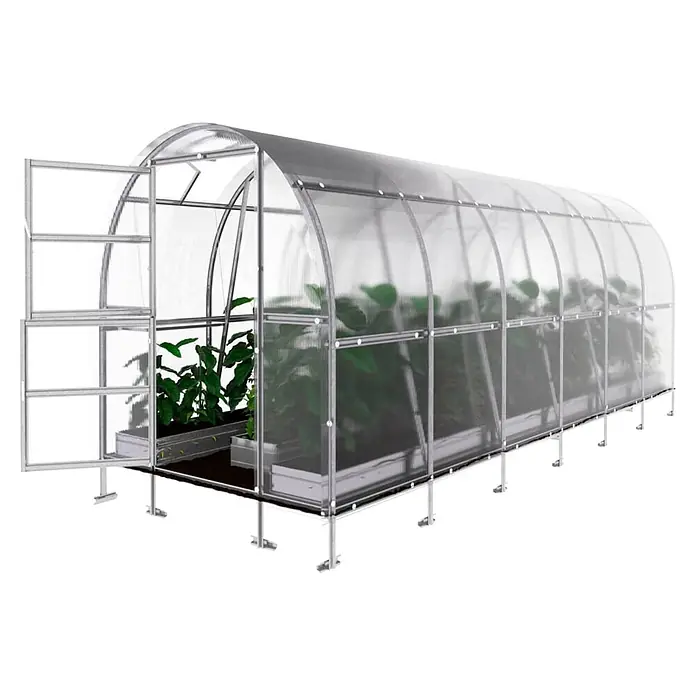 Klasika Greenhouses Gewächshaus Slim Klasika - Außenmaß inkl. Dachüberstand (B x T): 200 x 600 cm, Material Seitenwand: Kunststoff, 4 mm, Silbergrau - Gewölbtes Polycarbonat-Gewächshaus mit silbernem Metallrahmen und offener Eingangstür, Pflanzen sichtbar.