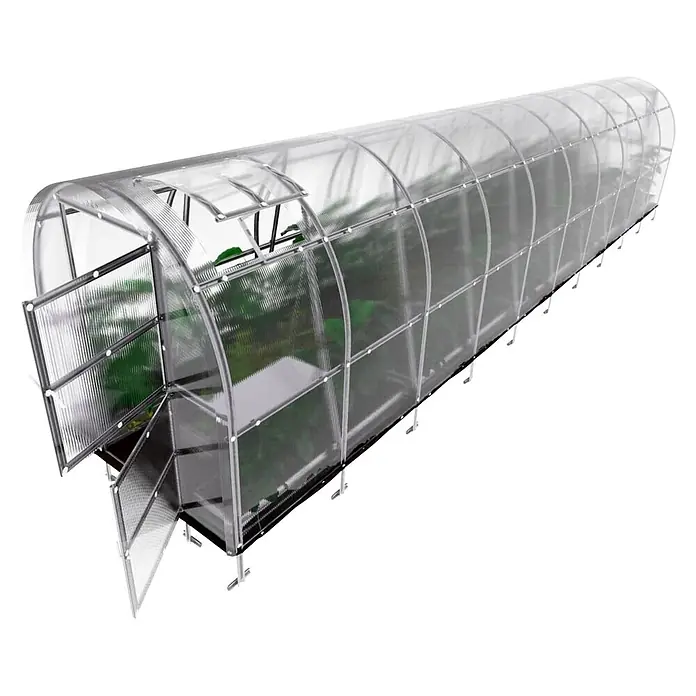 Klasika Greenhouses Gewächshaus Slim Klasika - Außenmaß inkl. Dachüberstand (B x T): 200 x 1.200 cm, Material Seitenwand: Kunststoff, 4 mm, Silbergrau - Transparentes Tunnelgewächshaus mit offener Tür und Dachluke, Pflanzen im Inneren.