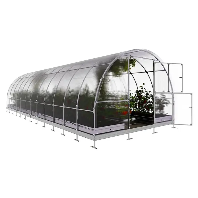 Klasika Greenhouses Gewächshaus Tube Klasika - Außenmaß inkl. Dachüberstand (B x T): 300 x 800 cm, Material Seitenwand: Kunststoff, 4 mm, Silbergrau - Gewölbtes Polycarbonat-Gewächshaus mit silbernem Metallrahmen, geöffneten Türen und Pflanzen darin.