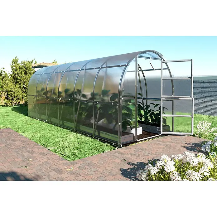 Klasika Greenhouses Gewächshaus Slim Klasika - Außenmaß inkl. Dachüberstand (B x T): 200 x 600 cm, Material Seitenwand: Kunststoff, 4 mm, Silbergrau - Gewölbtes, transparentes Gewächshaus mit Metallrahmen im Garten, Pflanzen sichtbar, Tür offen.