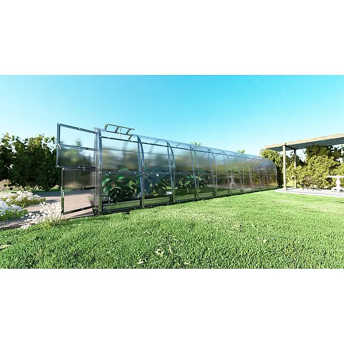 Klasika Greenhouses Gewächshaus Slim Klasika - Außenmaß inkl. Dachüberstand (B x T): 200 x 1.200 cm, Material Seitenwand: Kunststoff, 4 mm, Silbergrau - Gewölbtes Polycarbonat-Gewächshaus mit offenen Türen und Dachlüftern, in einem sonnigen Garten mit Pflanzen.