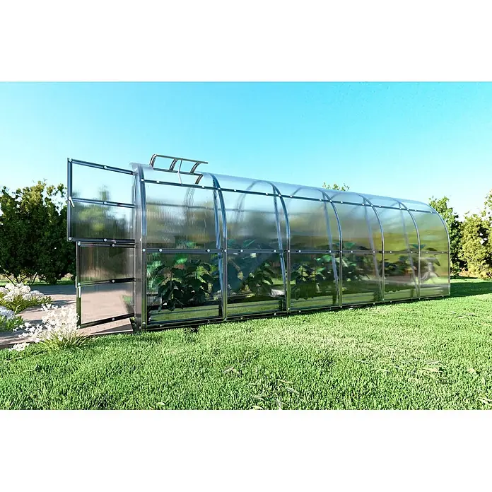 Klasika Greenhouses Gewächshaus Slim Klasika - Außenmaß inkl. Dachüberstand (B x T): 200 x 600 cm, Material Seitenwand: Kunststoff, 4 mm, Silbergrau - Ein gewölbtes, transparentes Gewächshaus mit dunklem Rahmen, geöffneter Tür und Dachlüfter, in einem sonnigen Garten.