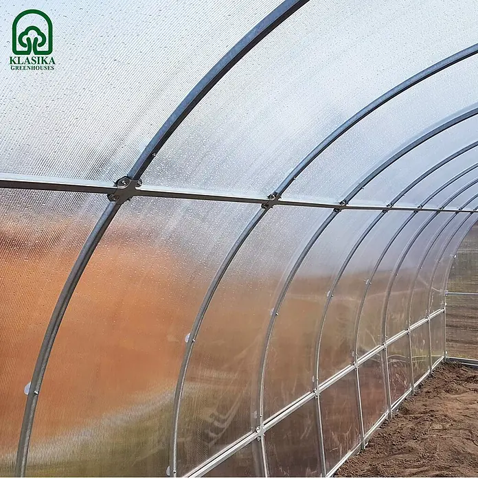 Klasika Greenhouses Gewächshaus Tube Klasika - Außenmaß inkl. Dachüberstand (B x T): 300 x 1.000 cm, Material Seitenwand: Kunststoff, 4 mm, Silbergrau - Innenansicht eines Gewächshauses mit klarem, gewelltem Polycarbonatdach und Metallrahmen, dessen robuste Bauweise über Erde sichtbar ist.