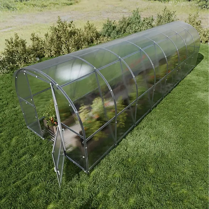 Klasika Greenhouses Gewächshaus Baltic Lt Klasika - Außenmaß inkl. Dachüberstand (B x T): 300 x 800 cm, Material Seitenwand: Kunststoff, 6 mm, Silbergrau - Langes, tunnelförmiges Gewächshaus mit transparenten Wänden und dunklem Rahmen, offene Tür zeigt Pflanzen im Inneren.