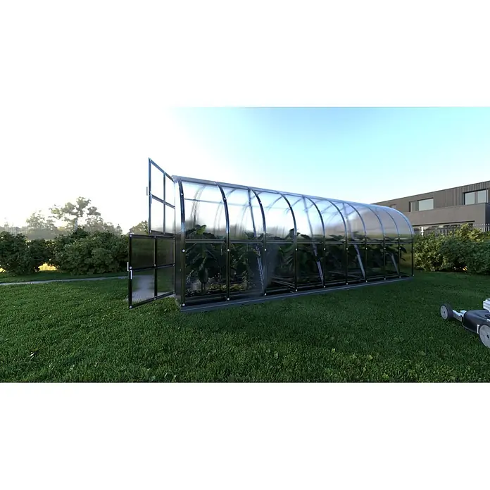 Klasika Greenhouses Gewächshaus Arch Klasika - Außenmaß inkl. Dachüberstand (B x T): 300 x 600 cm, Material Seitenwand: Kunststoff, 6 mm, Silbergrau - Großes, gewölbtes transparentes Gewächshaus mit dunklem Rahmen und geöffneter Tür, mit Pflanzen.