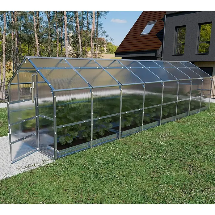 Klasika Greenhouses Gewächshaus Bernard Klasika - Außenmaß inkl. Dachüberstand (B x T): 235 x 800 cm, Material Seitenwand: Kunststoff, 6 mm, Silbergrau - Langes Gewächshaus mit silbernem Metallrahmen und transparenten Wellplatten, voller Pflanzen, im Garten neben einem Haus.