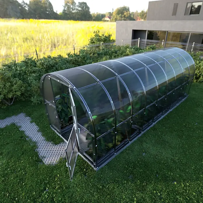 Klasika Greenhouses Gewächshaus Arch Klasika - Außenmaß inkl. Dachüberstand (B x T): 300 x 600 cm, Material Seitenwand: Kunststoff, 4 mm, Silbergrau - Ein klares, tunnelförmiges Gewächshaus mit Metallrahmen steht auf einem Rasen, eine Tür offen, mit Pflanzen darin.