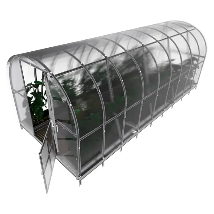 Klasika Greenhouses Gewächshaus Arch Klasika - Außenmaß inkl. Dachüberstand (B x T): 300 x 600 cm, Material Seitenwand: Kunststoff, 6 mm, Silbergrau - Gewölbtes Tunnel-Gewächshaus mit transparenten Platten und Metallrahmen, darin grüne Pflanzen. Die Vordertür ist teilweise geöffnet.