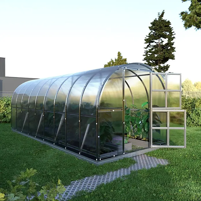 Klasika Greenhouses Gewächshaus Arch Klasika - Außenmaß inkl. Dachüberstand (B x T): 300 x 600 cm, Material Seitenwand: Kunststoff, 4 mm, Silbergrau - Langes, gewölbtes transparentes Gewächshaus mit Metallrahmen und offener Tür, das grüne Pflanzen zeigt.