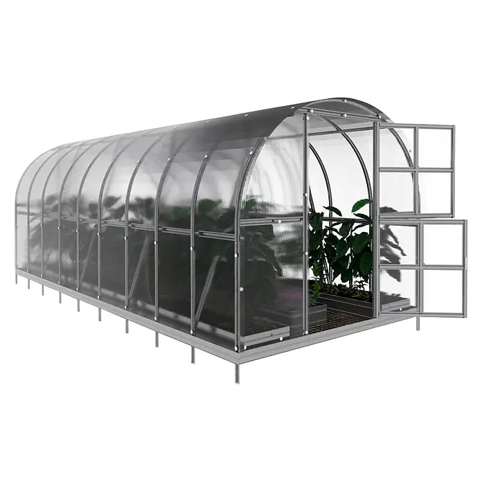 Klasika Greenhouses Gewächshaus Arch Klasika - Außenmaß inkl. Dachüberstand (B x T): 300 x 600 cm, Material Seitenwand: Kunststoff, 6 mm, Silbergrau - Transparentes Polycarbonat-Tunnelgewächshaus mit silbernem Metallrahmen, Pflanzen innen und geöffneten Lüftungsfenstern am Ende.