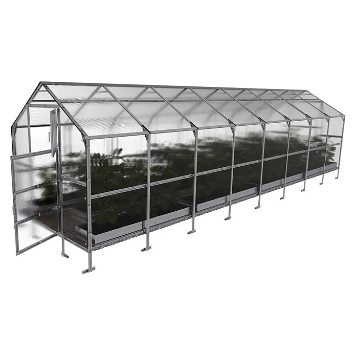 Klasika Greenhouses Gewächshaus Bernard Klasika - Außenmaß inkl. Dachüberstand (B x T): 235 x 800 cm, Material Seitenwand: Kunststoff, 6 mm, Silbergrau - Langes Gewächshaus mit transparenten Paneelen und silbernem Metallrahmen, Pflanzen sichtbar.