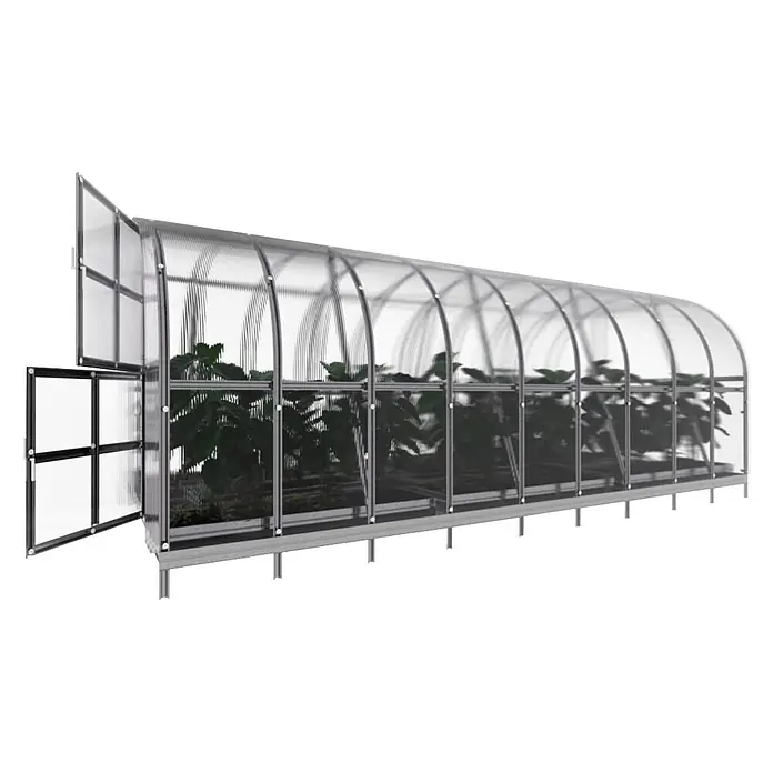 Klasika Greenhouses Gewächshaus Arch Klasika - Außenmaß inkl. Dachüberstand (B x T): 300 x 600 cm, Material Seitenwand: Kunststoff, 6 mm, Silbergrau - Großes transparentes Gewächshaus mit silbernem Rahmen, gewölbtem Dach, offener Tür und Lüftungsfenster, gefüllt mit Pflanzen.