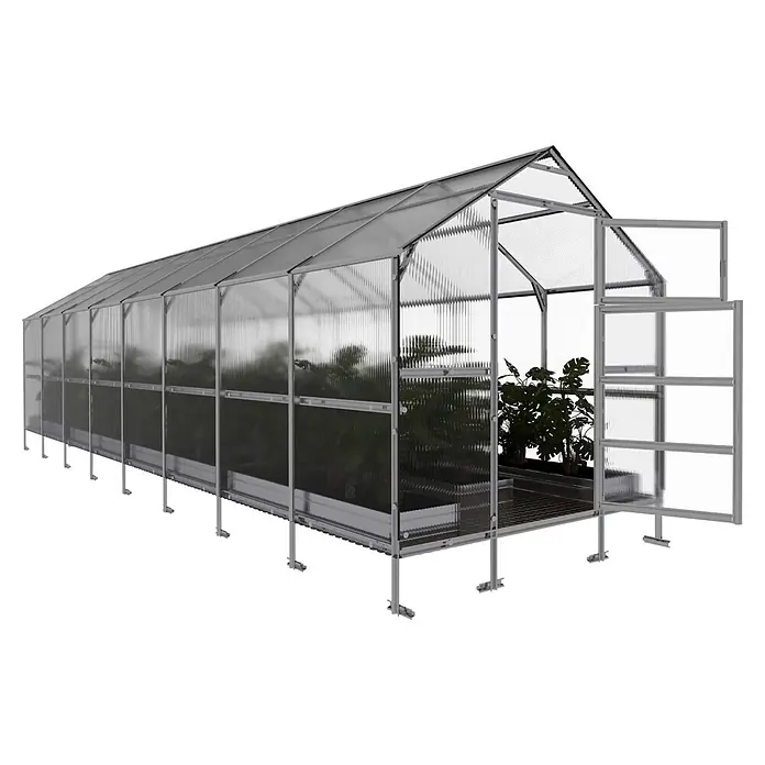 Klasika Greenhouses Gewächshaus Bernard Klasika - Außenmaß inkl. Dachüberstand (B x T): 235 x 800 cm, Material Seitenwand: Kunststoff, 6 mm, Silbergrau - Langes Gewächshaus aus grauem Aluminium mit gewellten, durchsichtigen Platten und geöffneter Tür, Pflanzen im Inneren.