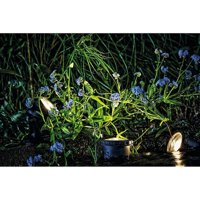Pontec Teichbeleuchtung PondoStar Set 3 - 1 W, Mit Trafo - Schwarze Outdoor-Strahler beleuchten blaue Blüten und grüne Pflanzen bei Nacht, teils im Wasser.
