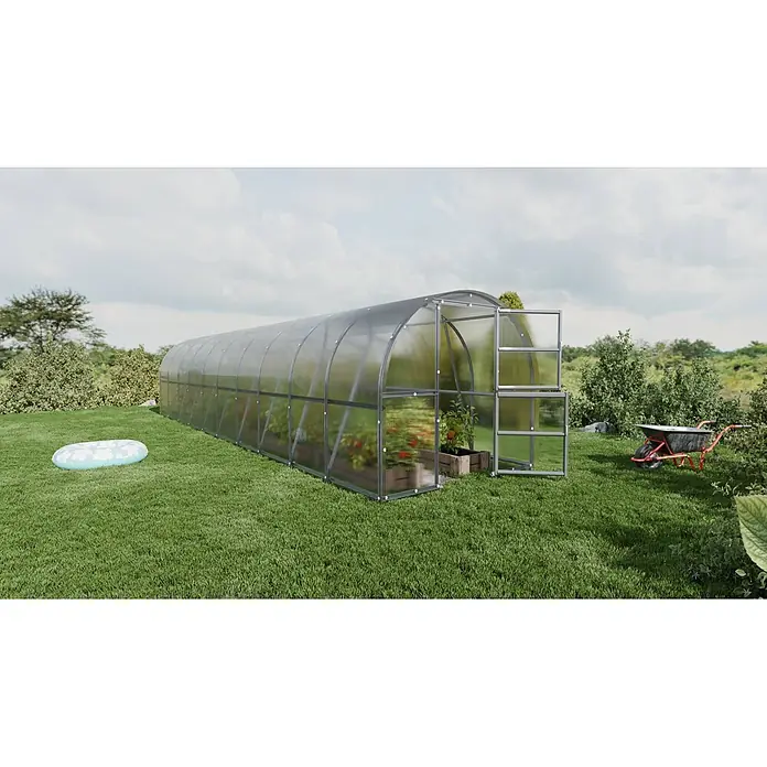 Klasika Greenhouses Gewächshaus Baltic Lt Klasika - Außenmaß inkl. Dachüberstand (B x T): 300 x 1.000 cm, Material Seitenwand: Kunststoff, 4 mm, Silbergrau - Ein gewölbtes Tunnelgewächshaus mit transparenten Platten und dunklem Metallrahmen, offener Tür, Pflanzen innen sichtbar.