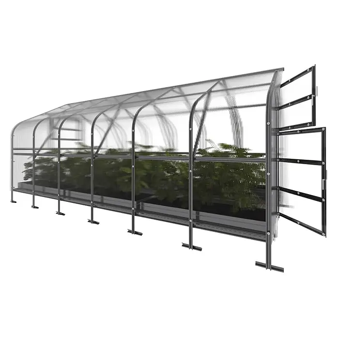 Klasika Greenhouses Gewächshaus Drop Klasika - Außenmaß inkl. Dachüberstand (B x T): 250 x 600 cm, Material Seitenwand: Kunststoff, 4 mm, Silbergrau - Ein gewölbtes Tunnelgewächshaus mit transparenten Platten und dunklem Rahmen, Pflanzen enthaltend. Endplatten sind offen.