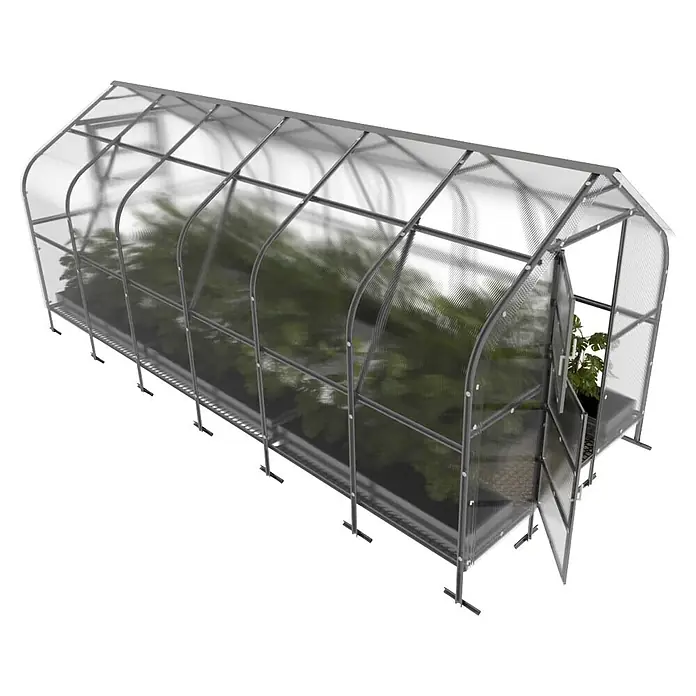 Klasika Greenhouses Gewächshaus Drop Klasika - Außenmaß inkl. Dachüberstand (B x T): 250 x 600 cm, Material Seitenwand: Kunststoff, 4 mm, Silbergrau - Transparentes Polycarbonat-Gewächshaus mit grauem Metallrahmen, offener Tür und Pflanzen darin.