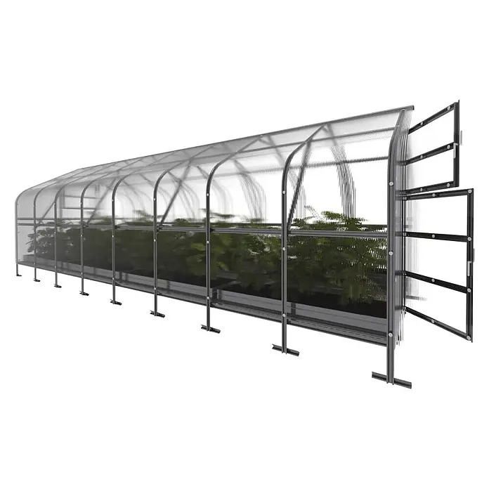 Klasika Greenhouses Gewächshaus Drop Klasika - Außenmaß inkl. Dachüberstand (B x T): 250 x 800 cm, Material Seitenwand: Kunststoff, 4 mm, Silbergrau - Gewölbtes transparentes Gewächshaus mit grauem Metallrahmen und grünen Pflanzen. Mit zu öffnenden Stirnplatten.