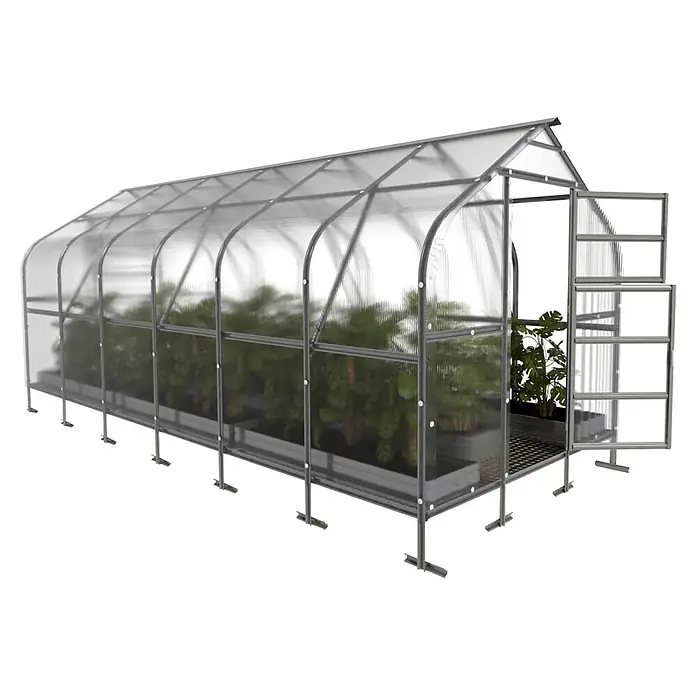Klasika Greenhouses Gewächshaus Drop Klasika - Außenmaß inkl. Dachüberstand (B x T): 250 x 600 cm, Material Seitenwand: Kunststoff, 4 mm, Silbergrau - Langes Tunnelgewächshaus mit transparenten Paneelen, silbernem Rahmen und offener Tür, Pflanzen sichtbar.