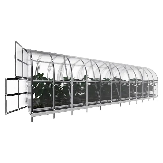 Klasika Greenhouses Gewächshaus Arch Klasika - Außenmaß inkl. Dachüberstand (B x T): 300 x 800 cm, Material Seitenwand: Kunststoff, 6 mm, Silbergrau - Langes, klares Polycarbonat-Gewächshaus mit silbernem Metallrahmen und geöffneter Tür, Pflanzen sichtbar.