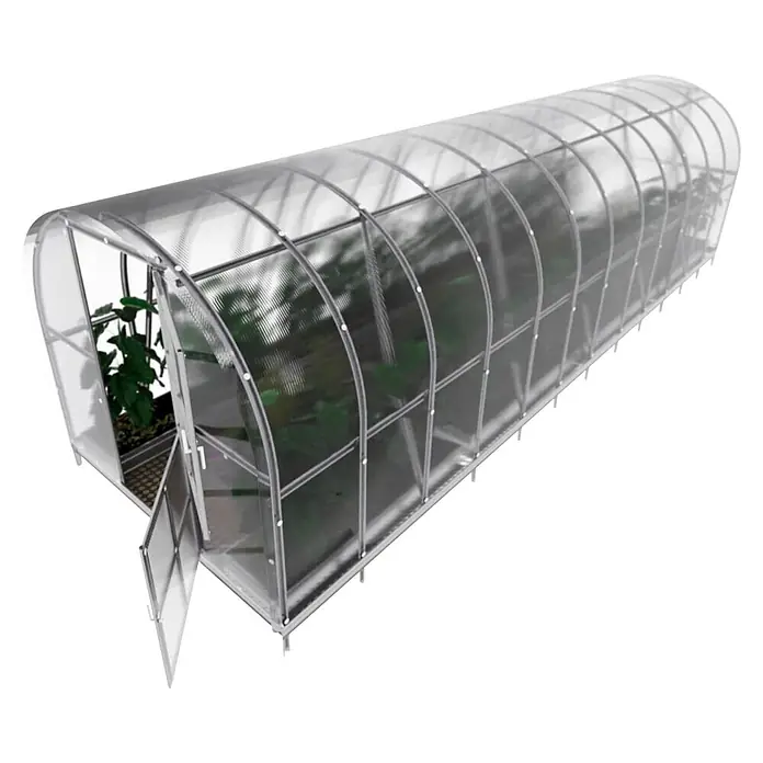 Klasika Greenhouses Gewächshaus Arch Klasika - Außenmaß inkl. Dachüberstand (B x T): 300 x 800 cm, Material Seitenwand: Kunststoff, 6 mm, Silbergrau - Gewölbtes Polycarbonat-Gewächshaus mit Metallrahmen und offener Tür, Pflanzen innen sichtbar.