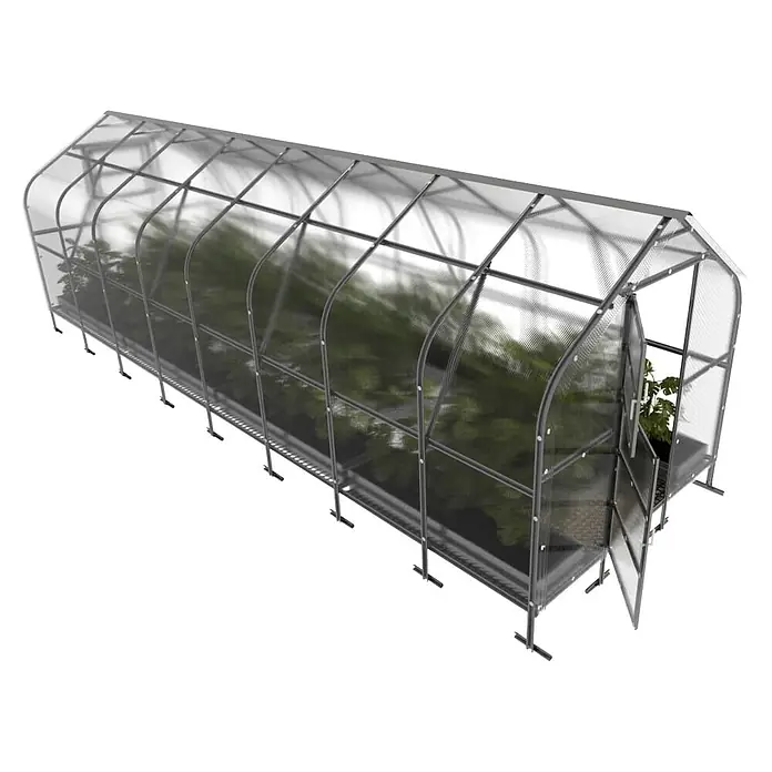 Klasika Greenhouses Gewächshaus Drop Klasika - Außenmaß inkl. Dachüberstand (B x T): 250 x 800 cm, Material Seitenwand: Kunststoff, 4 mm, Silbergrau - Längliches, tunnelförmiges Gewächshaus mit transparenten Paneelen und grauem Metallrahmen, mit grünen Pflanzen.