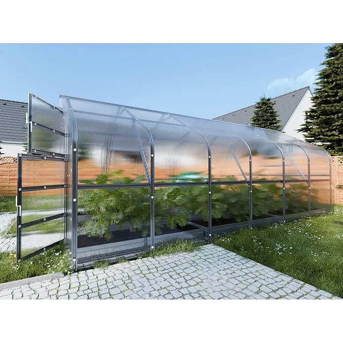 Klasika Greenhouses Gewächshaus Drop Klasika - Außenmaß inkl. Dachüberstand (B x T): 250 x 600 cm, Material Seitenwand: Kunststoff, 4 mm, Silbergrau - Großes, klares Gewächshaus mit dunklem Rahmen im Garten, gefüllt mit Grünpflanzen. Eine Tür steht offen.
