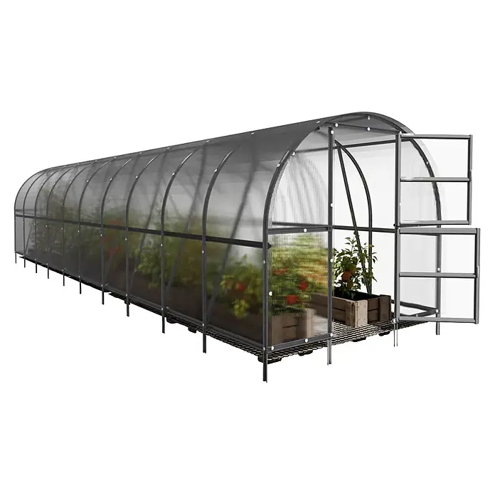 Klasika Greenhouses Gewächshaus Baltic Lt Klasika - Außenmaß inkl. Dachüberstand (B x T): 300 x 1.000 cm, Material Seitenwand: Kunststoff, 4 mm, Silbergrau - Langes, gewölbtes Gewächshaus mit dunkelgrauem Rahmen und lichtdurchlässigen Platten, mit offener Luke und Pflanzen darin.