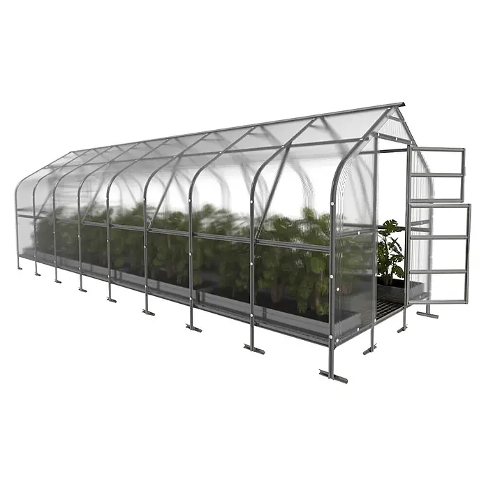 Klasika Greenhouses Gewächshaus Drop Klasika - Außenmaß inkl. Dachüberstand (B x T): 250 x 800 cm, Material Seitenwand: Kunststoff, 4 mm, Silbergrau - Langes Tunnelgewächshaus mit transparenten Wellplatten und grauem Metallrahmen, enthält grüne Pflanzen, offenes Fenster.