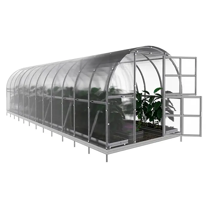 Klasika Greenhouses Gewächshaus Arch Klasika - Außenmaß inkl. Dachüberstand (B x T): 300 x 800 cm, Material Seitenwand: Kunststoff, 6 mm, Silbergrau - Transparentes gewölbtes Gewächshaus mit silbernem Rahmen, offener Tür und Pflanzen darin.