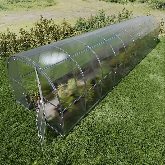 Klasika Greenhouses Gewächshaus Baltic Lt Klasika - Außenmaß inkl. Dachüberstand (B x T): 300 x 1.000 cm, Material Seitenwand: Kunststoff, 4 mm, Silbergrau - Langes, durchsichtiges Gewächshaus mit dunklem Rahmen, halboffenen Doppeltüren, mit sichtbaren Pflanzen.