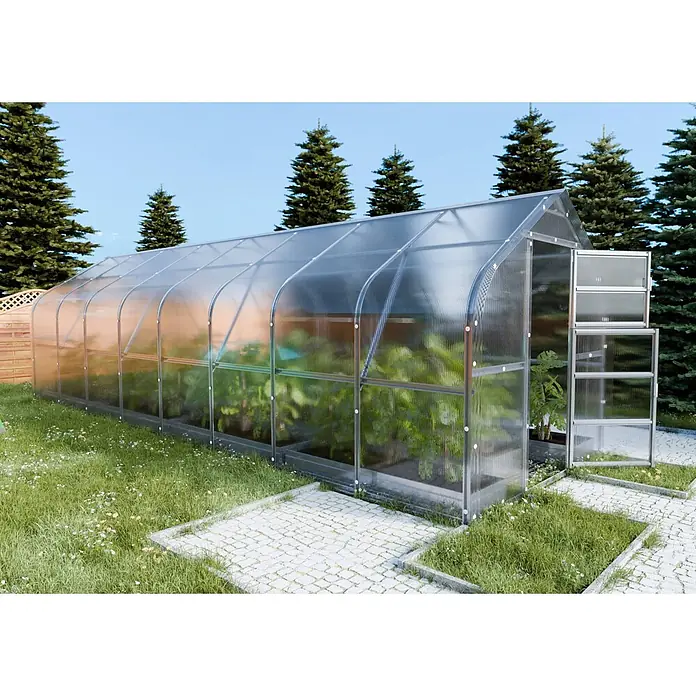 Klasika Greenhouses Gewächshaus Drop Klasika - Außenmaß inkl. Dachüberstand (B x T): 250 x 800 cm, Material Seitenwand: Kunststoff, 4 mm, Silbergrau - Ein langes, klares Polycarbonat-Gewächshaus mit Silberrahmen steht im Garten und zeigt üppige Pflanzen im Inneren. Die Tür ist offen.