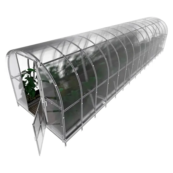 Klasika Greenhouses Gewächshaus Arch Klasika - Außenmaß inkl. Dachüberstand (B x T): 300 x 1.200 cm, Material Seitenwand: Kunststoff, 6 mm, Silbergrau - Transparentes Tunnelgewächshaus mit gerippten Platten und silbernem Rahmen, Pflanzen sichtbar, eine Tür offen.