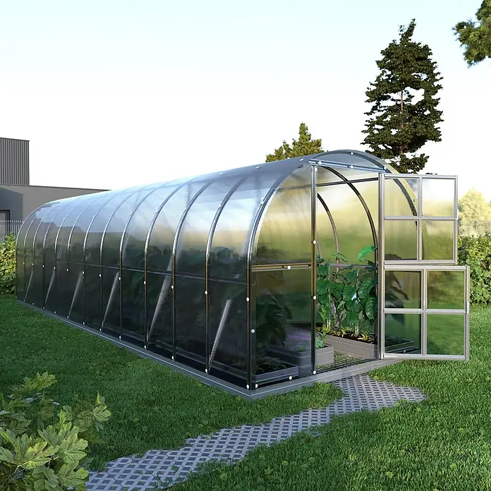 Klasika Greenhouses Gewächshaus Arch Klasika - Außenmaß inkl. Dachüberstand (B x T): 300 x 800 cm, Material Seitenwand: Kunststoff, 6 mm, Silbergrau - Großes Tunnelgewächshaus mit transparenten Paneelen und silbernem Rahmen, mit offener Tür und Pflanzen, die darin wachsen.