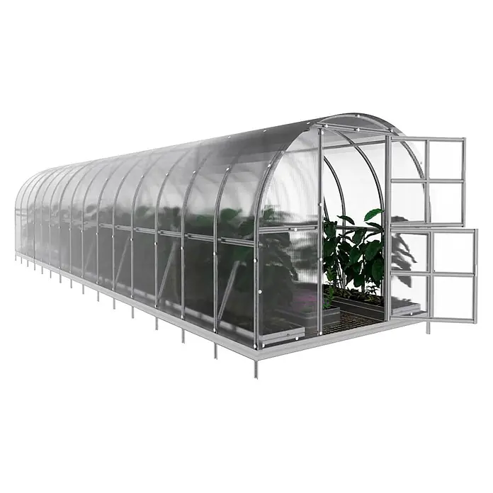 Klasika Greenhouses Gewächshaus Arch Klasika - Außenmaß inkl. Dachüberstand (B x T): 300 x 1.200 cm, Material Seitenwand: Kunststoff, 6 mm, Silbergrau - Tunneltreibhaus mit transparenten Polycarbonatplatten und silbernem Metallrahmen, offener Eingang, Pflanzen sichtbar.