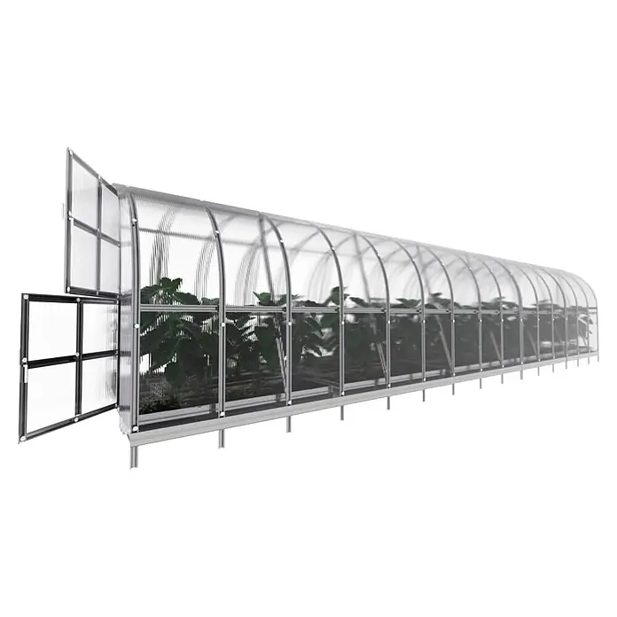 Klasika Greenhouses Gewächshaus Arch Klasika - Außenmaß inkl. Dachüberstand (B x T): 300 x 1.200 cm, Material Seitenwand: Kunststoff, 6 mm, Silbergrau - Transparentes Gewächshaus mit gewölbtem Dach und silbernem Rahmen. Innen Pflanzen, vorne offene Tür und Lüftungsklappe.